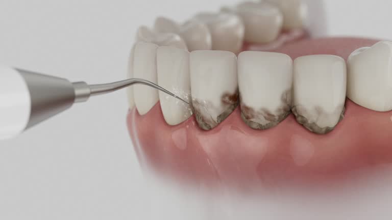 Reliable Dental contractor in Leisure World, MD by Dentist Open Now